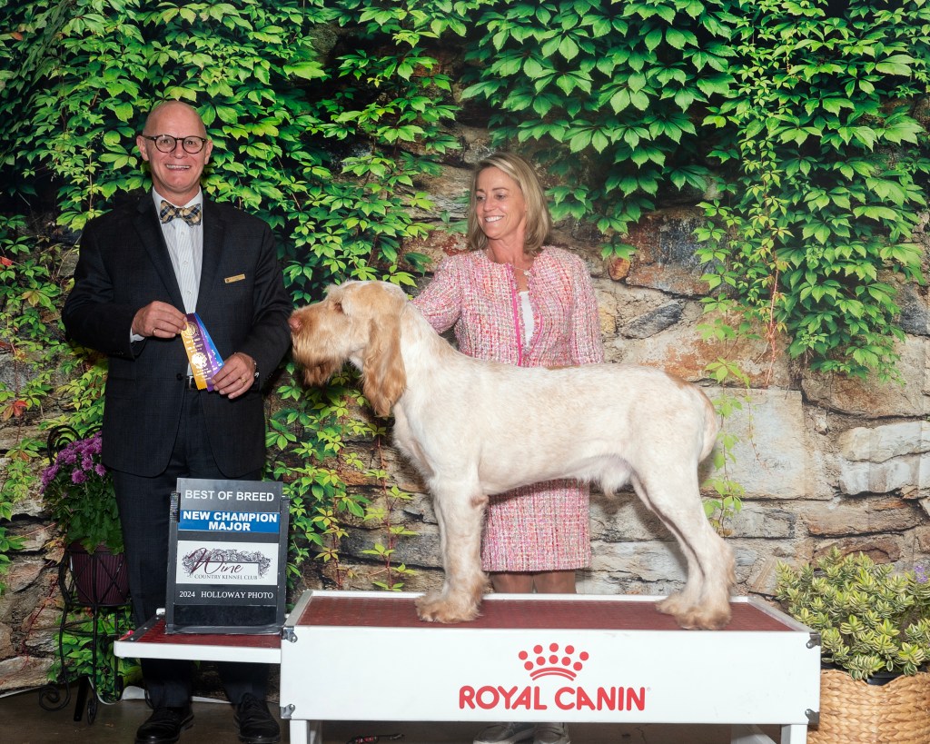 Louie as a new Champion.